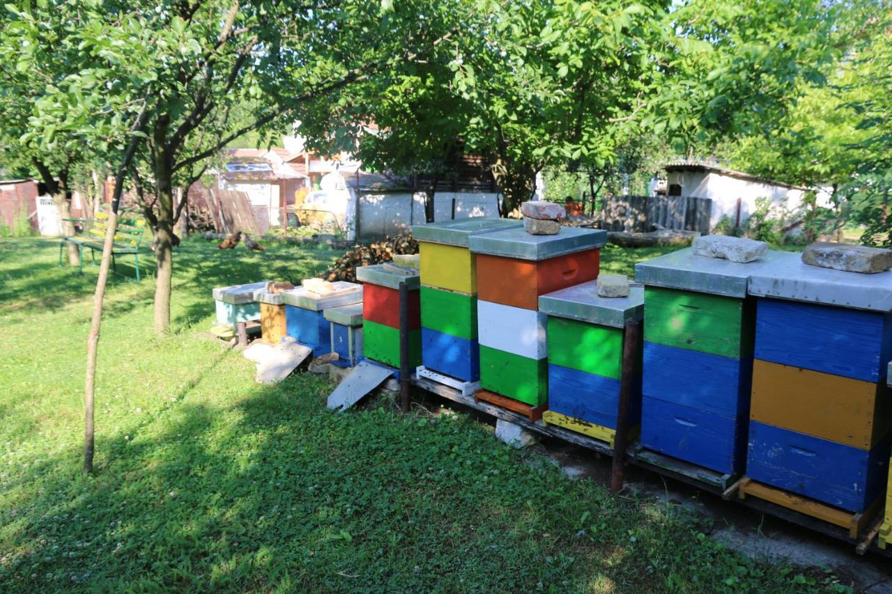 Apartman Rudnik Vrdnik Luaran gambar