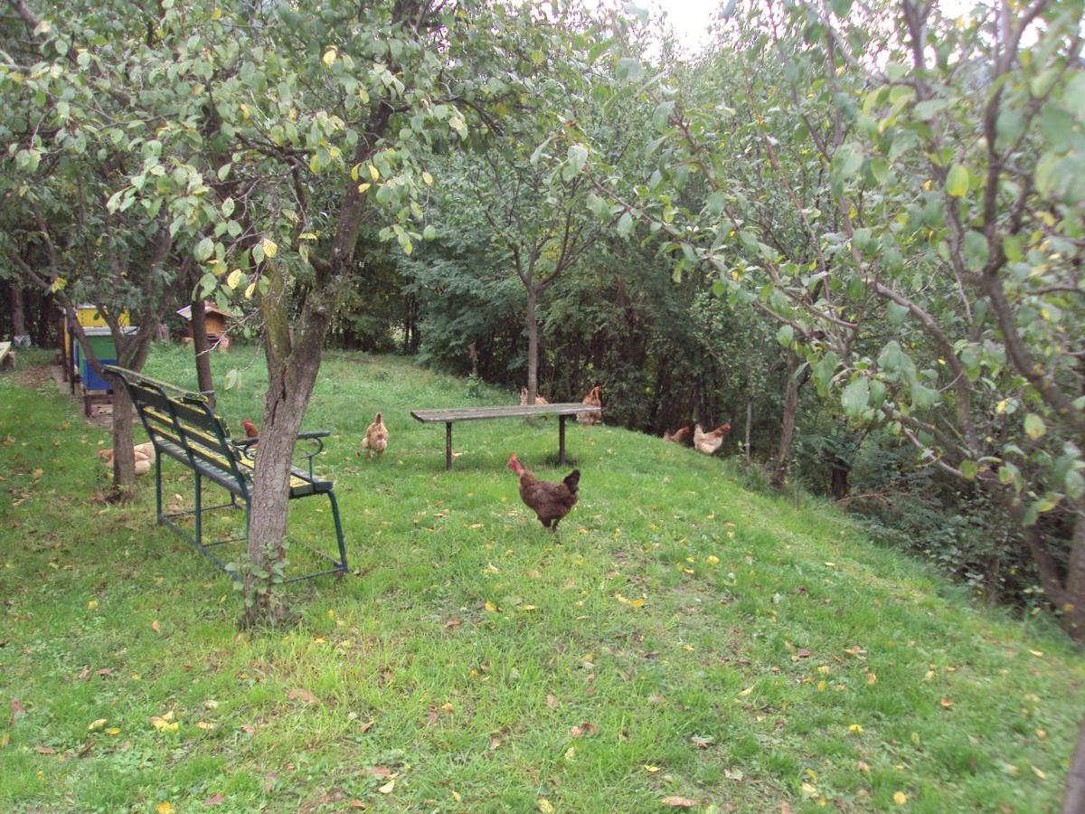 Apartman Rudnik Vrdnik Luaran gambar